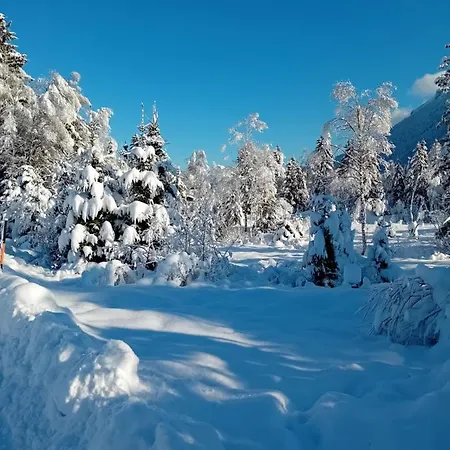 Apartman Zur Urigen Kiefer Kiefersfelden