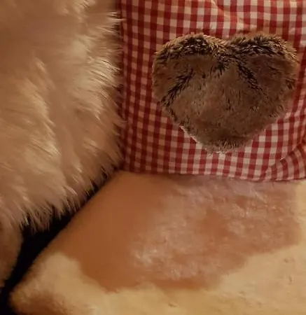 Zur Urigen Kiefer Apartman Kiefersfelden