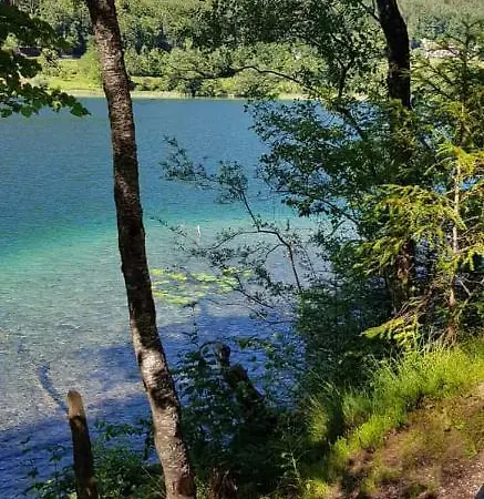 Apartman Zur Urigen Kiefer