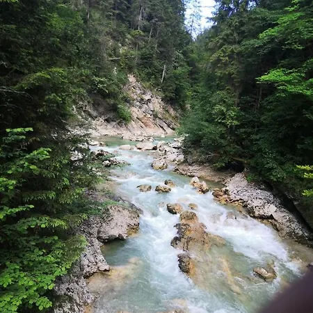 Zur Urigen Kiefer Kiefersfelden