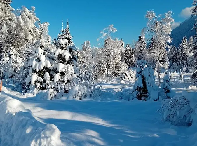 Appartement Zur Urigen Kiefer Kiefersfelden