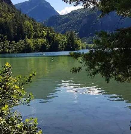 Zur Urigen Kiefer