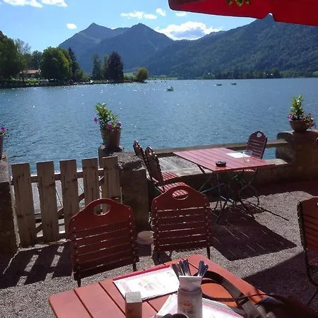 Zur Urigen Kiefer Apartment *