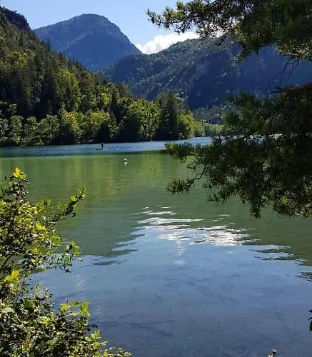 Zur Urigen Kiefer