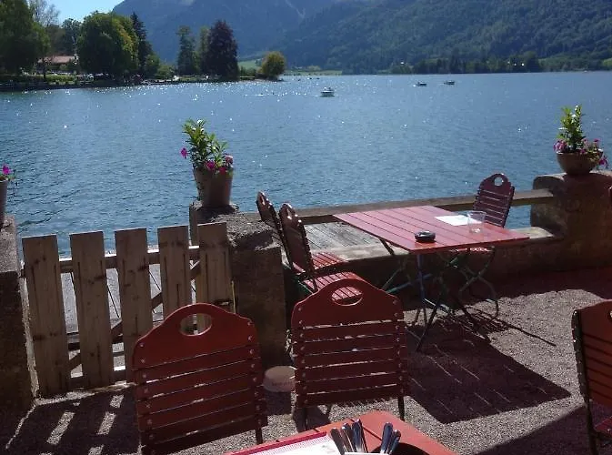 Zur Urigen Kiefer Apartment *
