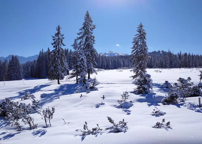 Zur Urigen Kiefer * Kiefersfelden